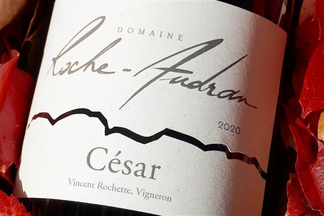 Notre Cuvée César Rouge fait peau neuve ❣

Plus lumineuse et plus semblable au César Blanc, nous avons souhaité apporter un peu de fraîcheur à cette cuvée 100% grenache noir que l'on aime tant 🍇

Sa nouvelle étiquette est réalisée en papier recyclé pour être plus en adéquation avec les valeurs que nous défendons.
Mais vous remarquerez que certains éléments fondamentaux qui font l’image du Domaine Roche Audran sont restés, comme la skyline représentant la colline environnante.

👀 Ouvrez l’œil ! Les nouvelles bouteilles sont disponibles dès maintenant au domaine puis progressivement chez tous nos clients et partenaires.

🍷Quant à nos vins, rien n'a changé ! toujours élaborés avec respect de la nature, rigueur, tradition et passion !

+ D'infos sur notre domaine en biodynamie et commander en ligne sur https://roche-audran.fr
@vaison.ventoux.provence 
@provenceguide 
🍇 @vins_rhone 
📸 @irisandcom

#vinbiodynamie #biodynamicwines #biodynamics #vinbio #vinbiodynamique #rocheaudran #domainerocheaudran #domaineviticole #agriculturebio #agriculturebiologique #vinnature #biodynamie #winetasting #cesar #vin #bouteilledevin #bouteille #papierrecyclé #recyclage #madeinfrance #provence #gastronomie #cotesdurhone